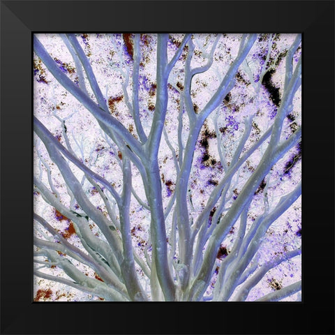 Space Canopy I Black Modern Wood Framed Art Print by Grayscale