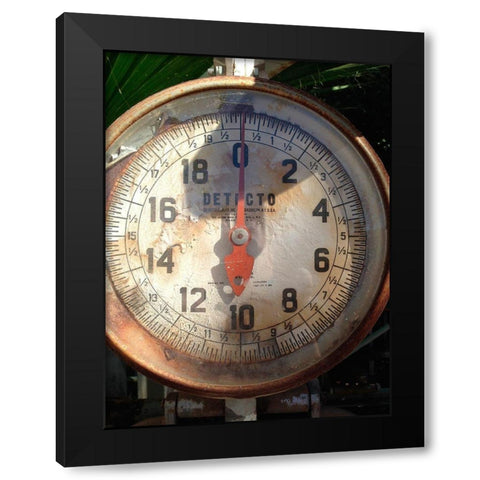 Scale Face Black Modern Wood Framed Art Print by Grayscale