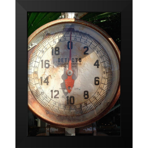 Scale Face Black Modern Wood Framed Art Print by Grayscale