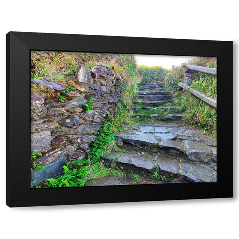 Stone Stairs II Black Modern Wood Framed Art Print by Grayscale