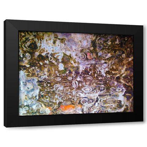 Eroded Stucco I Black Modern Wood Framed Art Print by Grayscale