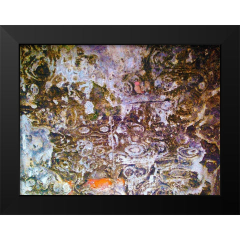 Eroded Stucco I Black Modern Wood Framed Art Print by Grayscale