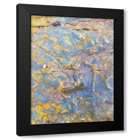 Oxidized Sand I Black Modern Wood Framed Art Print by Grayscale