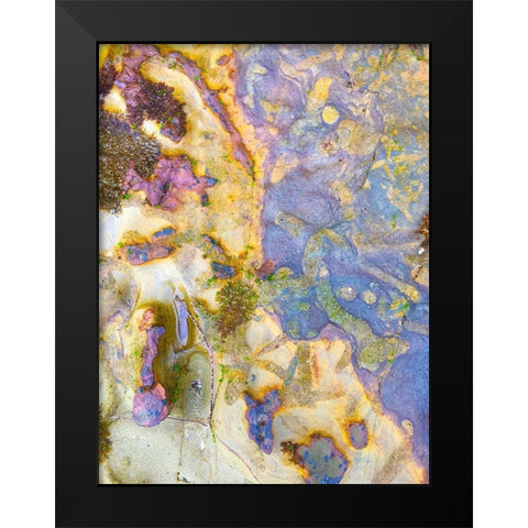 Oxidized Sand III Black Modern Wood Framed Art Print by Grayscale