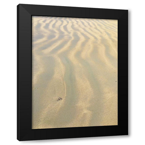 Sand Prints VI Black Modern Wood Framed Art Print with Double Matting by Grayscale
