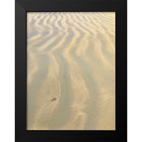 Sand Prints VI Black Modern Wood Framed Art Print by Grayscale