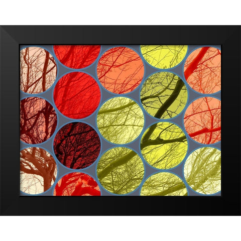 Circle Textures IV Black Modern Wood Framed Art Print by Grayscale