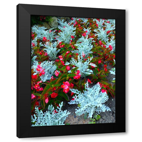 White and Red I Black Modern Wood Framed Art Print by Grayscale