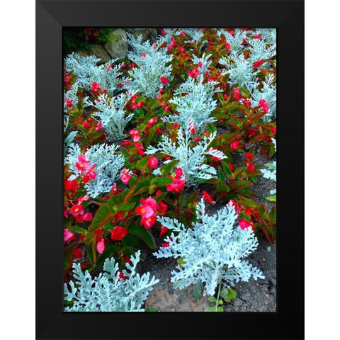 White and Red I Black Modern Wood Framed Art Print by Grayscale