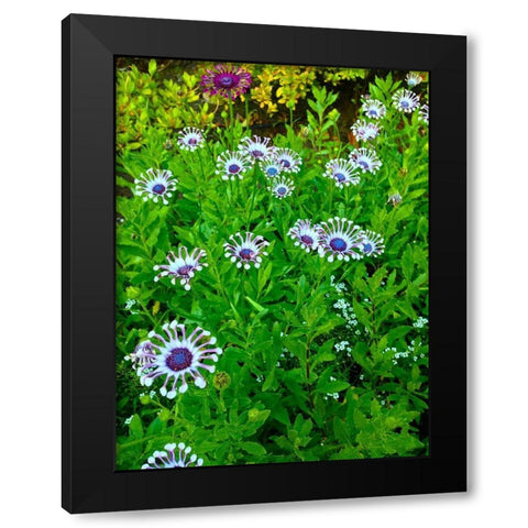 White and Purple I Black Modern Wood Framed Art Print by Grayscale
