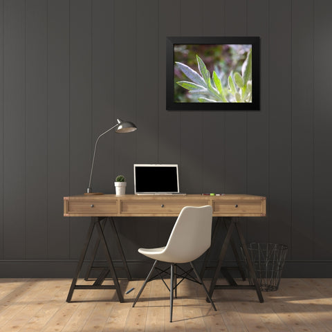 Silver Leaves I Black Modern Wood Framed Art Print by Grayscale