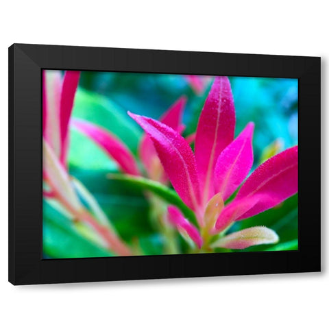 Pink Leaves I Black Modern Wood Framed Art Print with Double Matting by Grayscale