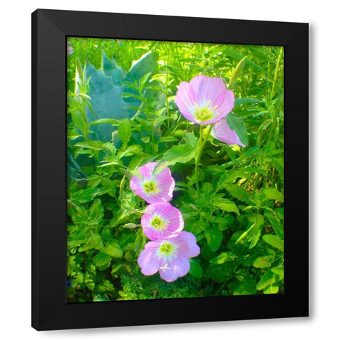 Geraniums I Black Modern Wood Framed Art Print with Double Matting by Grayscale