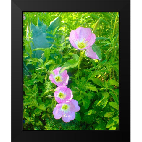 Geraniums I Black Modern Wood Framed Art Print by Grayscale