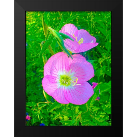 Geraniums II Black Modern Wood Framed Art Print by Grayscale