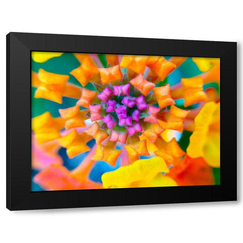 Kaleidoscope IV Black Modern Wood Framed Art Print with Double Matting by Grayscale
