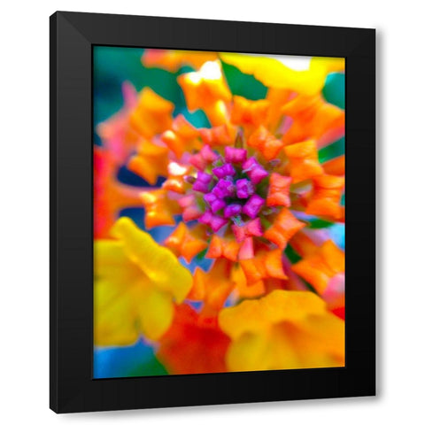 Kaleidoscope V Black Modern Wood Framed Art Print by Grayscale
