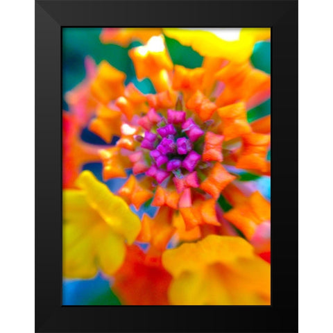 Kaleidoscope V Black Modern Wood Framed Art Print by Grayscale