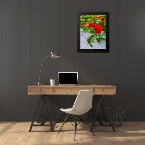 Lantana IV Black Modern Wood Framed Art Print by Grayscale