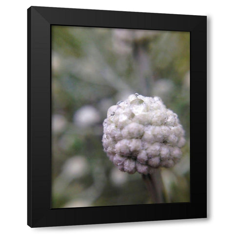 Silver Cluster II Black Modern Wood Framed Art Print with Double Matting by Grayscale