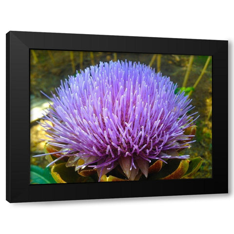 Purple Fingers I Black Modern Wood Framed Art Print with Double Matting by Grayscale