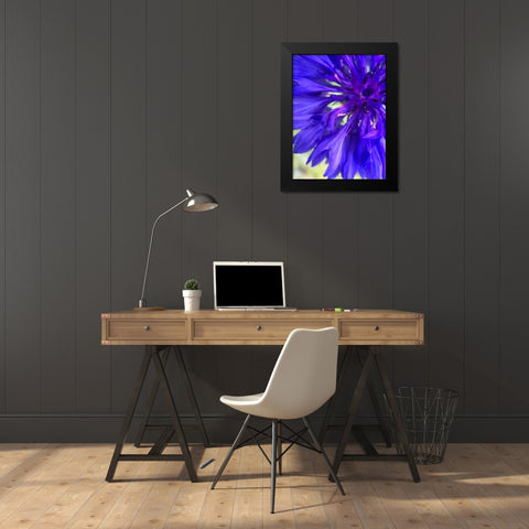 Purple Wildflower I Black Modern Wood Framed Art Print by Grayscale