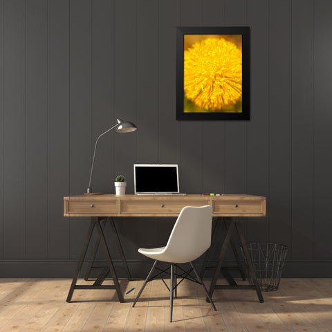 Yellow Ball I Black Modern Wood Framed Art Print by Grayscale