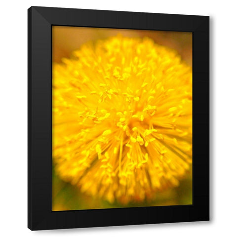 Yellow Ball I Black Modern Wood Framed Art Print by Grayscale