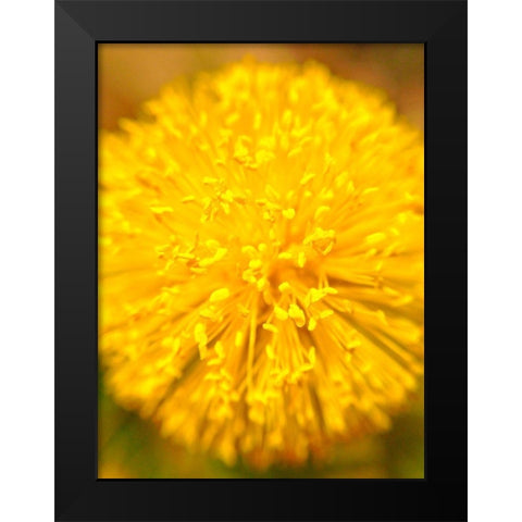 Yellow Ball I Black Modern Wood Framed Art Print by Grayscale