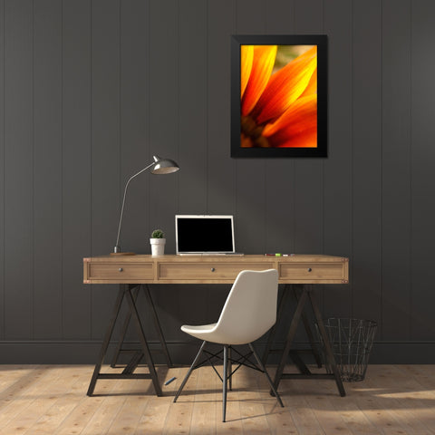 Orange Wildflower IV Black Modern Wood Framed Art Print by Grayscale