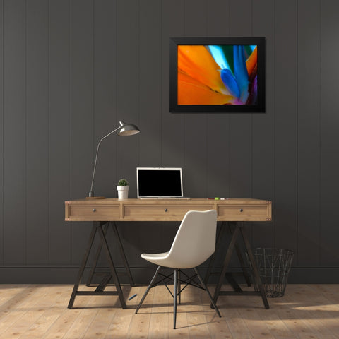 Bird Of Paradise I Black Modern Wood Framed Art Print by Grayscale