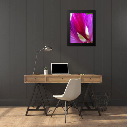 Pink Leaves II Black Modern Wood Framed Art Print by Grayscale
