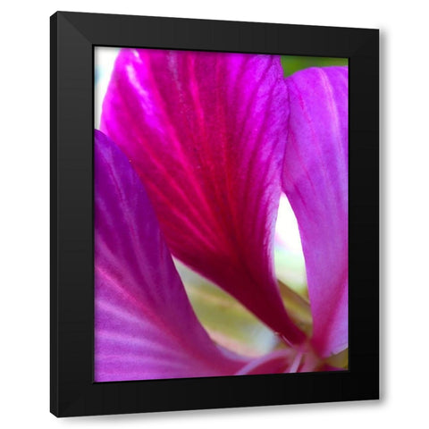 Pink Leaves II Black Modern Wood Framed Art Print by Grayscale