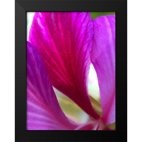 Pink Leaves II Black Modern Wood Framed Art Print by Grayscale