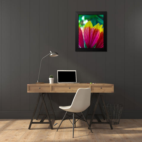 Yellow Tips I Black Modern Wood Framed Art Print by Grayscale