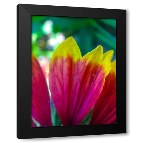 Yellow Tips I Black Modern Wood Framed Art Print by Grayscale