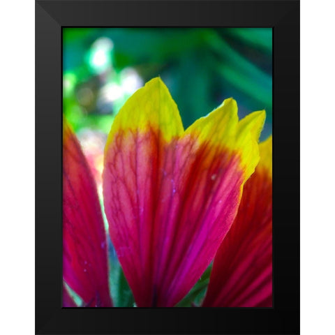Yellow Tips I Black Modern Wood Framed Art Print by Grayscale