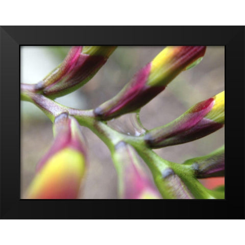 Spine I Black Modern Wood Framed Art Print by Grayscale