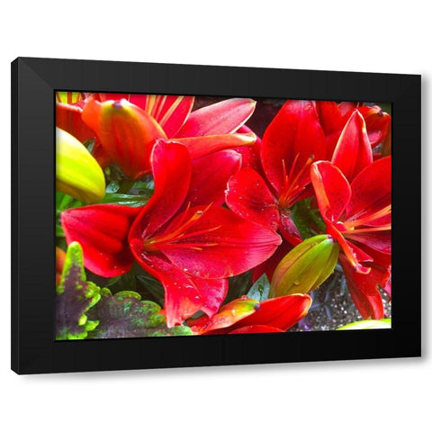 Wet Blooms I Black Modern Wood Framed Art Print by Grayscale