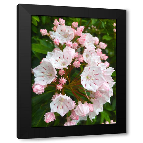 Parachutes I Black Modern Wood Framed Art Print with Double Matting by Grayscale