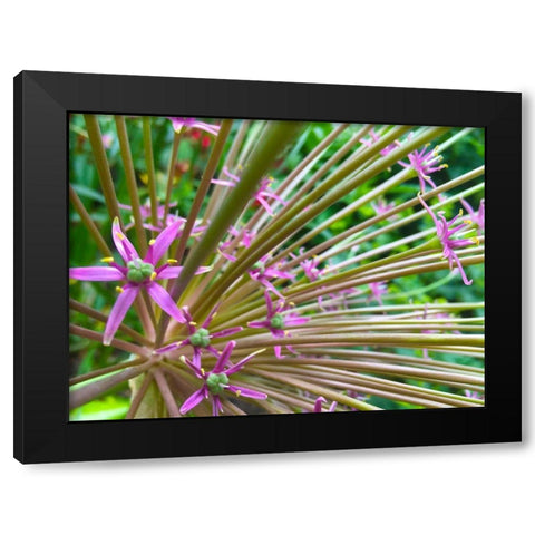 Spines I Black Modern Wood Framed Art Print with Double Matting by Grayscale