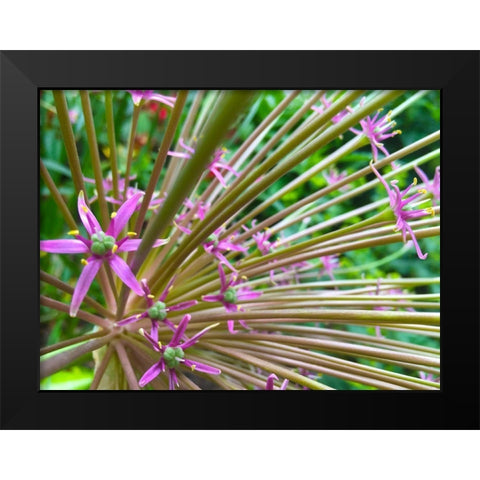 Spines I Black Modern Wood Framed Art Print by Grayscale