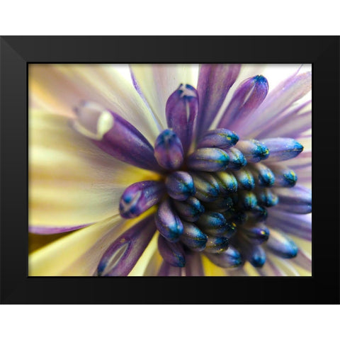 Bloom I Black Modern Wood Framed Art Print by Grayscale