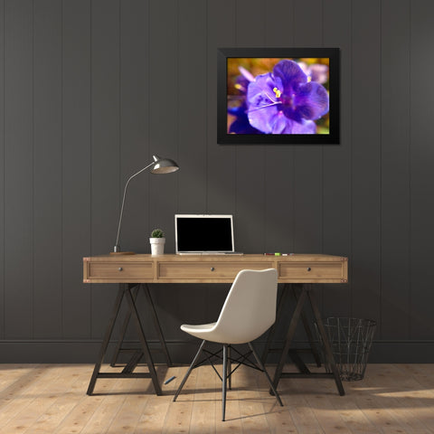 Purple Bloom I Black Modern Wood Framed Art Print by Grayscale