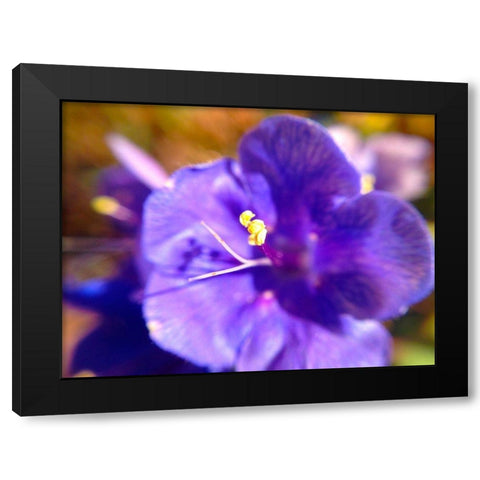 Purple Bloom I Black Modern Wood Framed Art Print with Double Matting by Grayscale