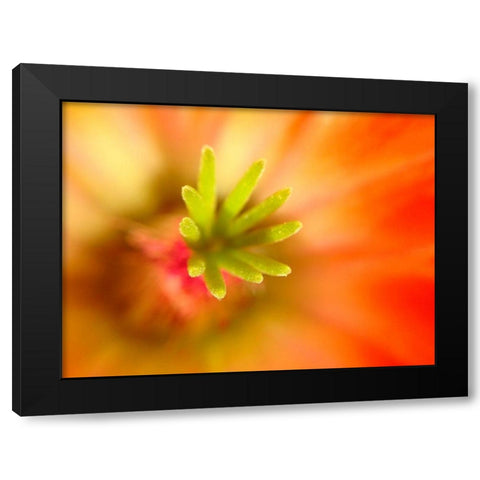 Central Fingers II Black Modern Wood Framed Art Print by Grayscale