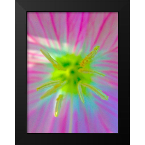 Central Fingers IV Black Modern Wood Framed Art Print by Grayscale