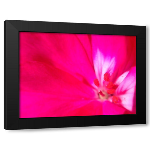 Natural Reactor III Black Modern Wood Framed Art Print with Double Matting by Grayscale