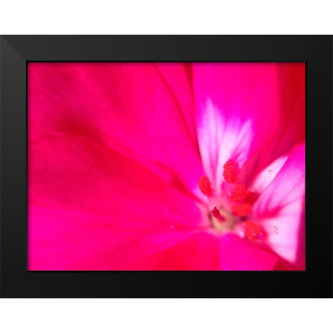 Natural Reactor III Black Modern Wood Framed Art Print by Grayscale