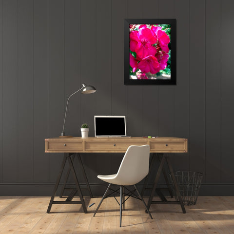 Red Begonias I Black Modern Wood Framed Art Print by Grayscale